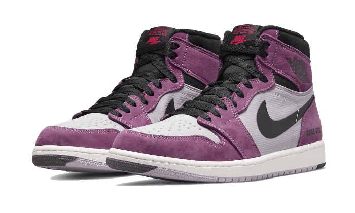 Air Jordan 1 High Element Gore-Tex Berry - DB2889-500 - Kickzmi