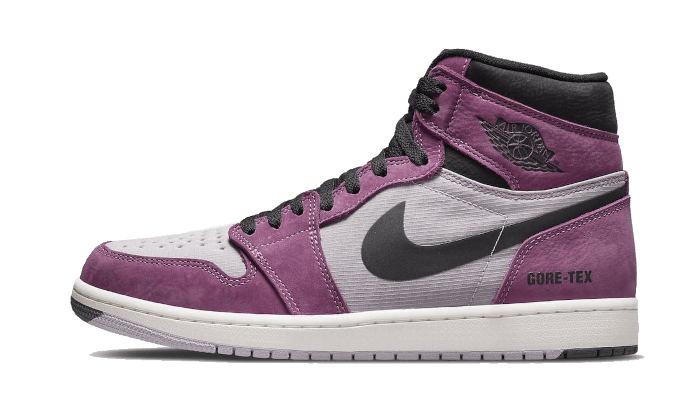 Air Jordan 1 High Element Gore-Tex Berry - DB2889-500 - Kickzmi