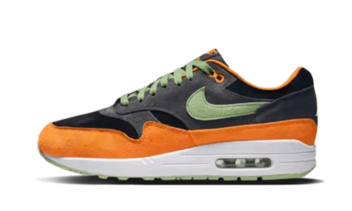 Sneakers éditions limitées et authentiques Nike Air Max 1 PRM Duck Anthracite - DZ0482-001 - Kickzmi