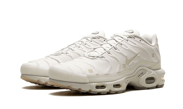 Nike Air Max Plus A-COLD-WALL Platinum Tint - FD7855-002 - Kickzmi