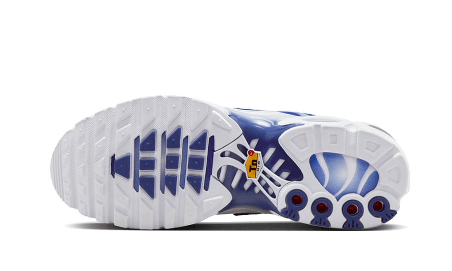 Sneakers éditions limitées et authentiques Nike Air Max Plus Blue Fade - FZ4345-100 - Kickzmi