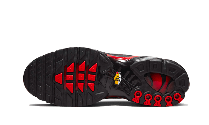 Nike Air Max Plus Bred Reflective - DZ4507-600 - Kickzmi