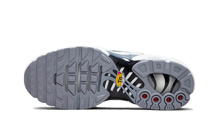 Sneakers éditions limitées et authentiques Nike Air Max Plus Sail Grey - FQ2892-100 - Kickzmi