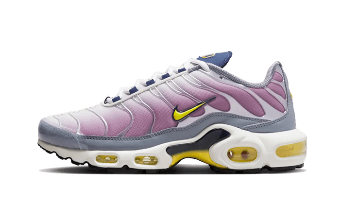 Nike Air Max Plus Violet Dust - FN8007-500 - Kickzmi