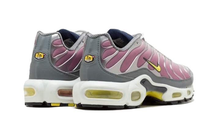 Nike Air Max Plus Violet Dust - FN8007-500 - Kickzmi