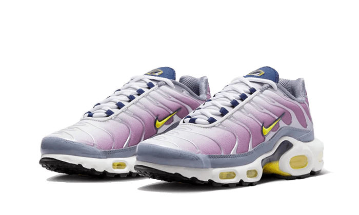 Nike Air Max Plus Violet Dust - FN8007-500 - Kickzmi