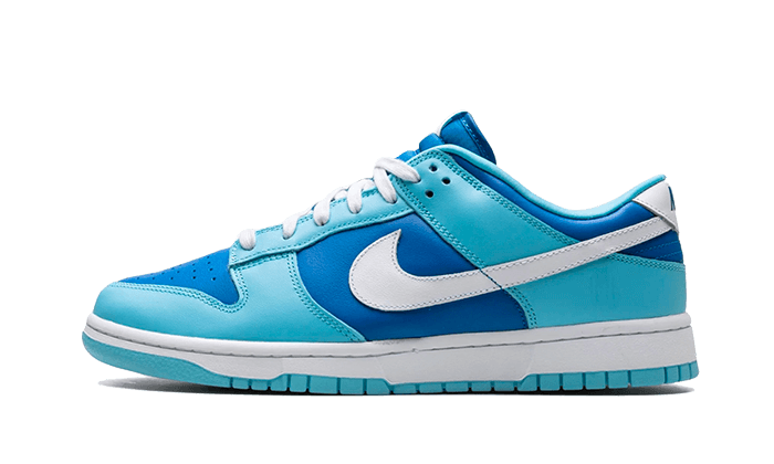 Nike Dunk Low Argon - DM0121-400 - Kickzmi