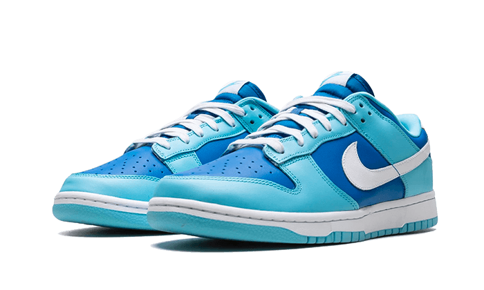 Nike Dunk Low Argon - DM0121-400 - Kickzmi