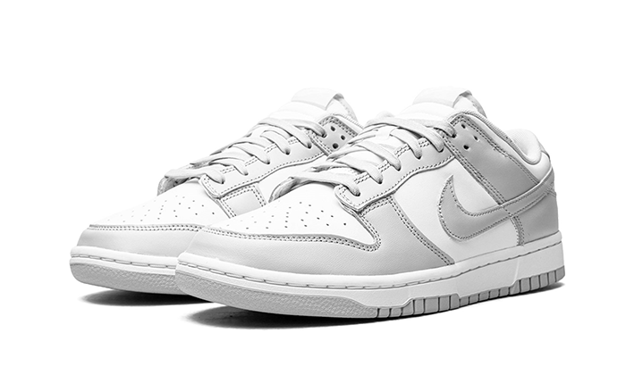 Nike Dunk Low Grey Fog - DD1391-103 - Kickzmi