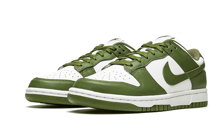 Nike Dunk Low Medium Olive - DD1503-120 - Kickzmi