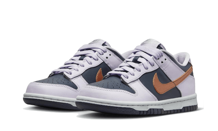 Nike Dunk Low SE Copper Swoosh - DX1663-400 - Kickzmi