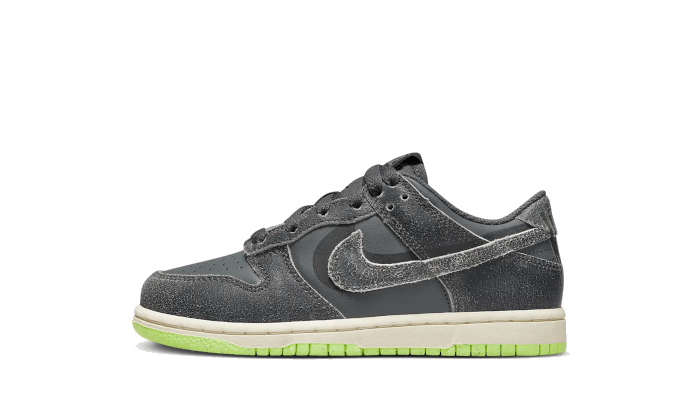 Dunk Low Swoosh Shadow Iron Grey Enfant (PS) Kickzmi