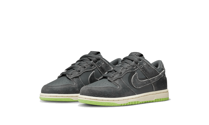 Dunk Low Swoosh Shadow Iron Grey Enfant (PS) Kickzmi