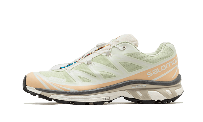 Sneakers éditions limitées et authentiques Salomon XT-6 Aloe Wash Feather Grey - L47293700 - Kickzmi