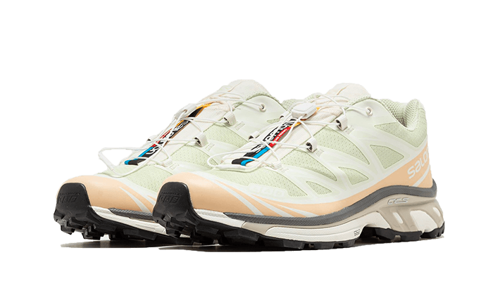 Sneakers éditions limitées et authentiques Salomon XT-6 Aloe Wash Feather Grey - L47293700 - Kickzmi