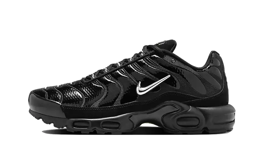 Nike Air Max Plus Black Volt Silver - FJ2591-001 - Kickzmi