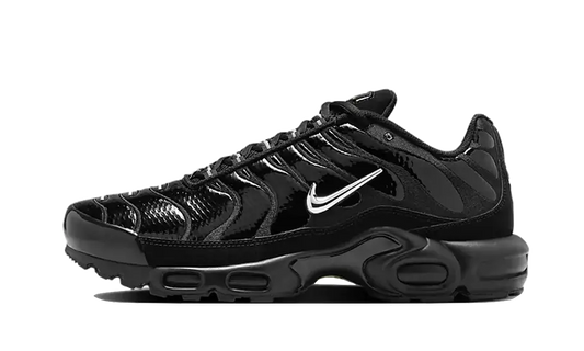 Nike Air Max Plus Black Volt Silver - FJ2591-001 - Kickzmi